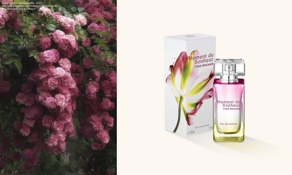 Paksi Éva stylist parfüm illat blog
